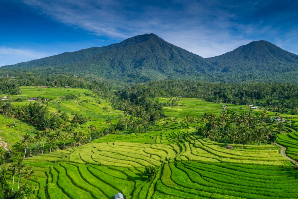 Jatiluwih rice terraces with mountains in the background, Bali