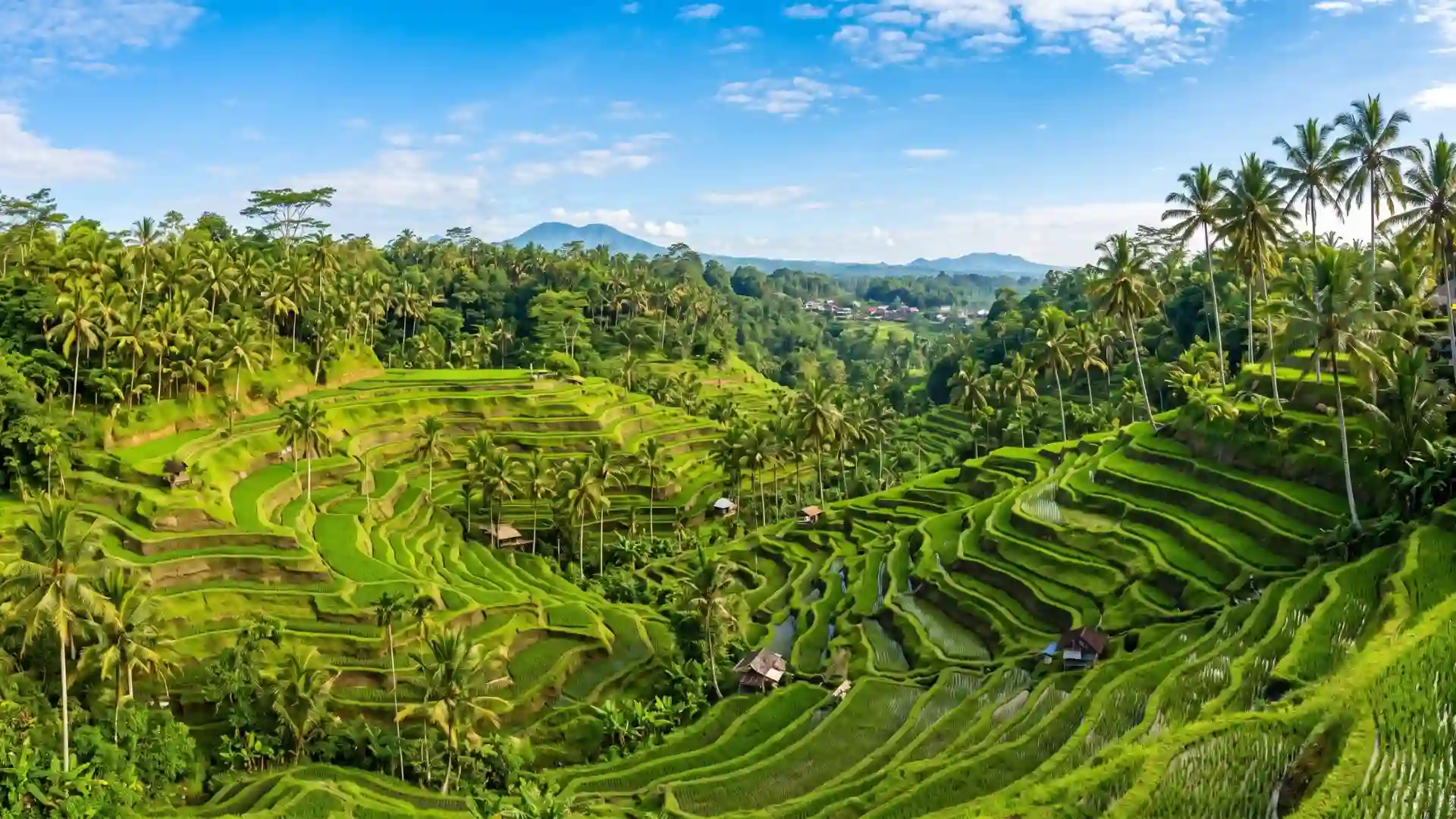 Tegalalang rice terraces near Ubud, Bali